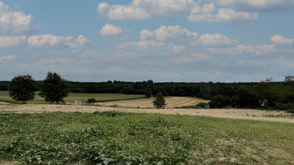 Un cadre unique au cœur de la nature